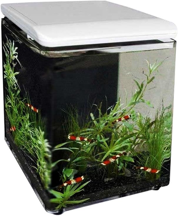 SuperFish 545250/1989 Home 8 Mini Aquarium Blanc