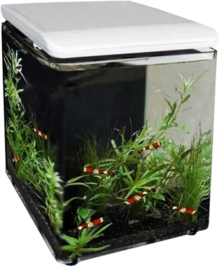 SuperFish 545250/1989 Home 8 Mini Aquarium Blanc