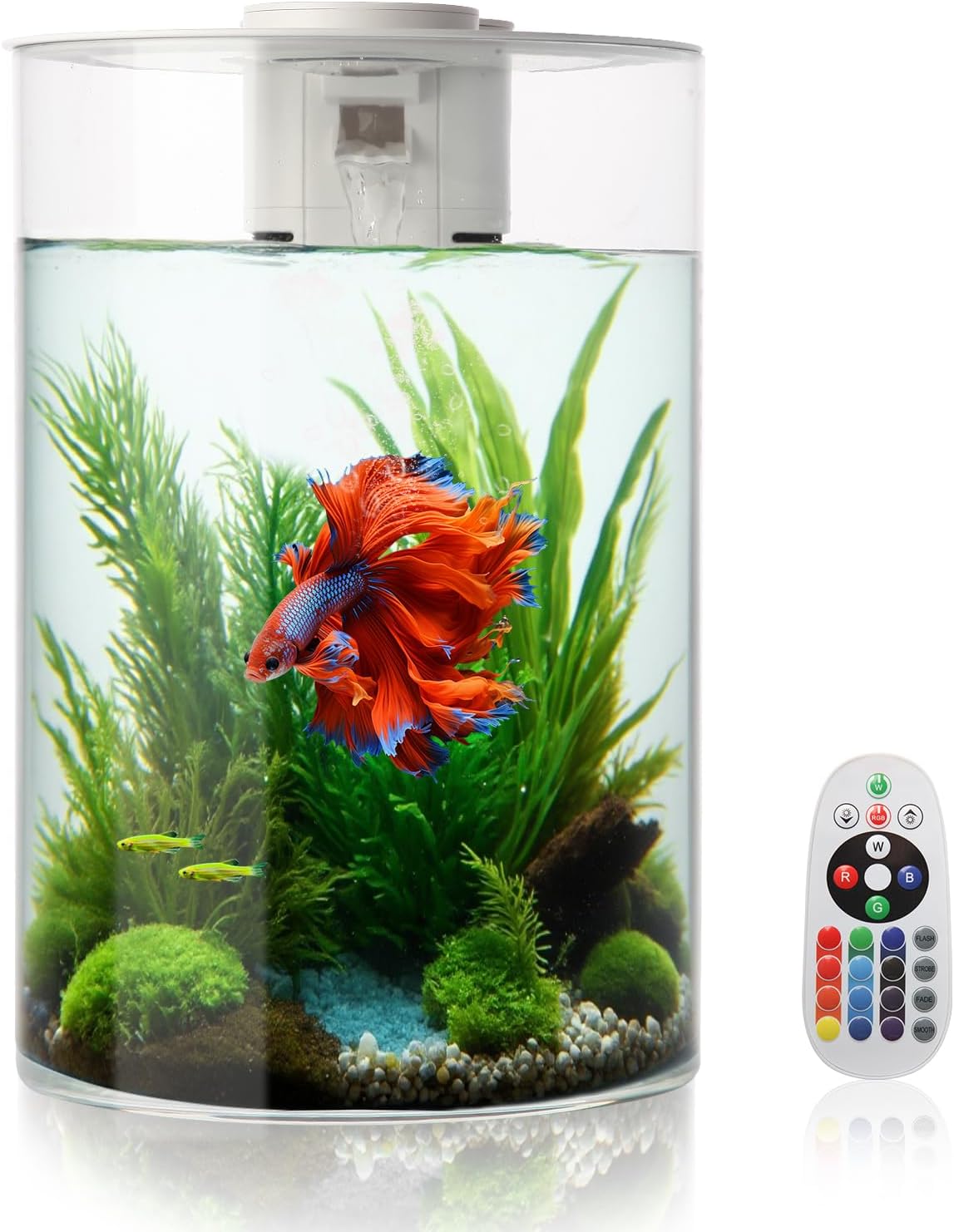 Aquarium, Petit Aquarium 11L/3 gallons avec Filtre et éclairage LED (17 Couleurs au Choix), 360° Fish Tank pour Petits Poissons et Poissons Betta, la Maison, Le Bureau et Les Cadeaux