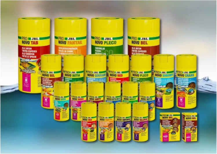 71Q06W4FOhL._AC_SL1500_