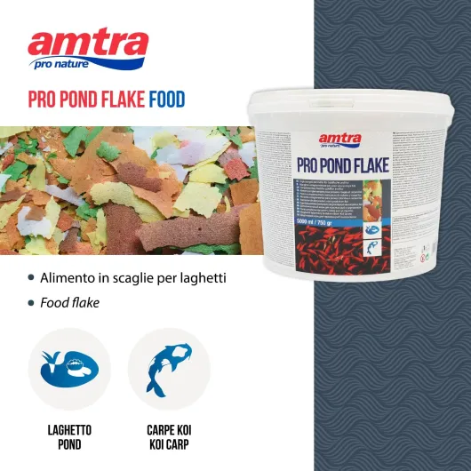 71zyUy3Ml6L._AC_SL1500_