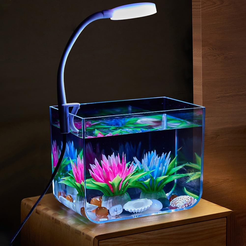 Aquarium avec Lampe de Serrage, Kit de Démarrage Carré Petit Kit Décoratif d'aquarium pour Salon, Bureau, S Petit aquarium de bureau + lampe de serrage