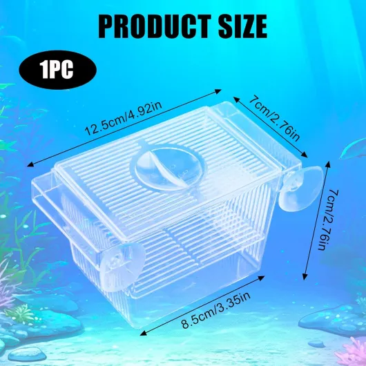 71Aekolw4wL._AC_SL1500_