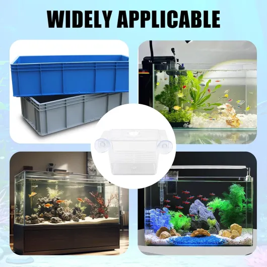 810Avg5VYhL._AC_SL1500_