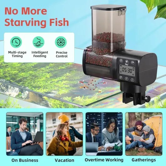 81N4KUReEeL._AC_SL1500_