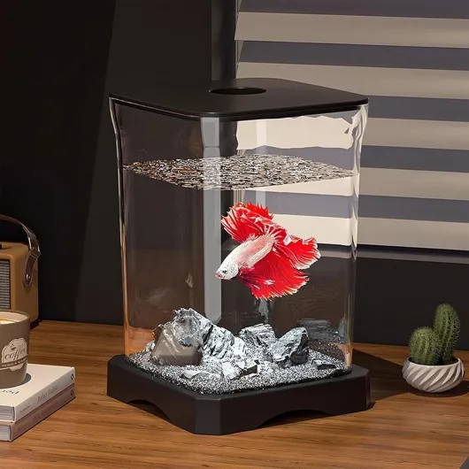 71CEM22Sc1L._AC_SL1500_