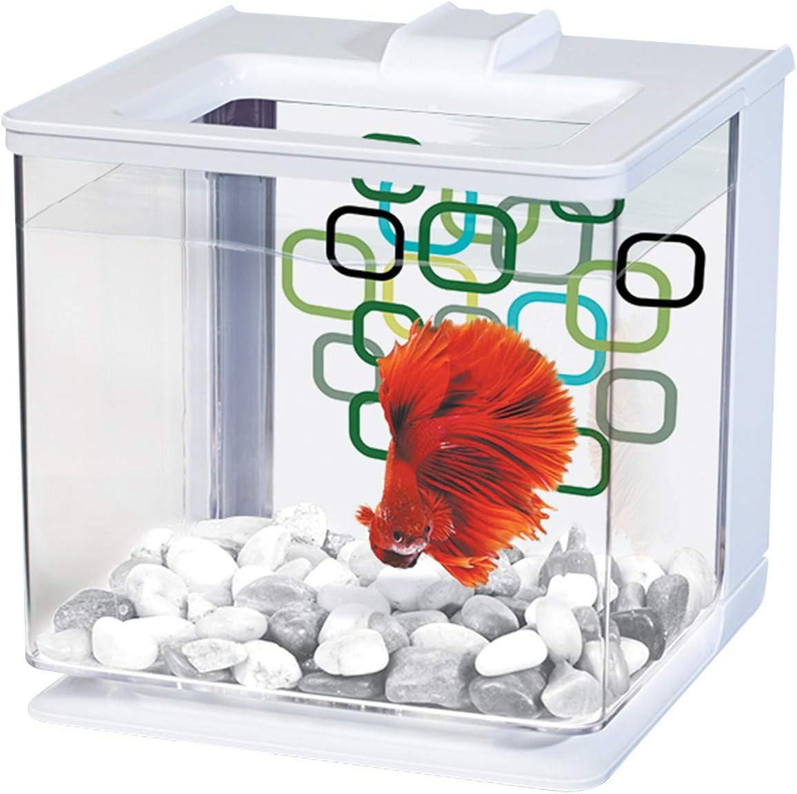 Marina Aquarium pour Aquariophilie Betta EZ Care Blanc