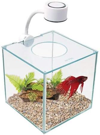 Marina Aquarium Betta Kit Cubus en Verre Éclairage LED 3,4 L