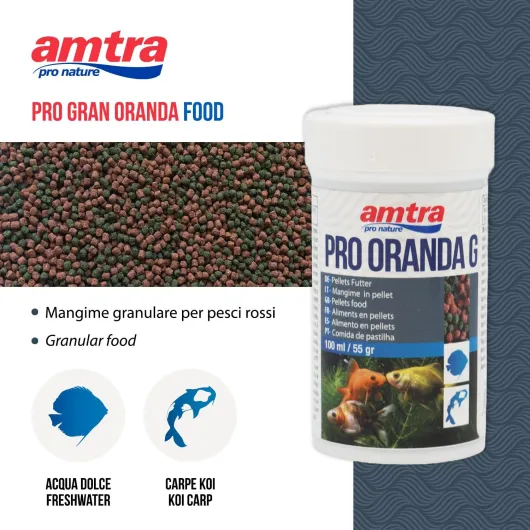 71vR-Ojp-fL._AC_SL1500_