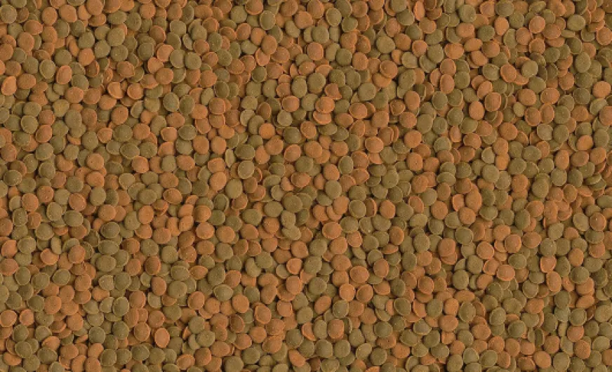 A1 UIYxR7OL._AC_SL1500_