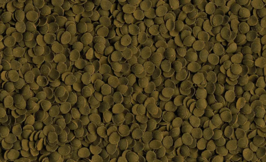 A1-Yng6-5LL._AC_SL1500_