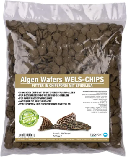 91QyMvoagEL._AC_SL1500_