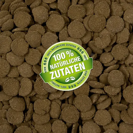 A1Xpt3axjxL._AC_SL1500_