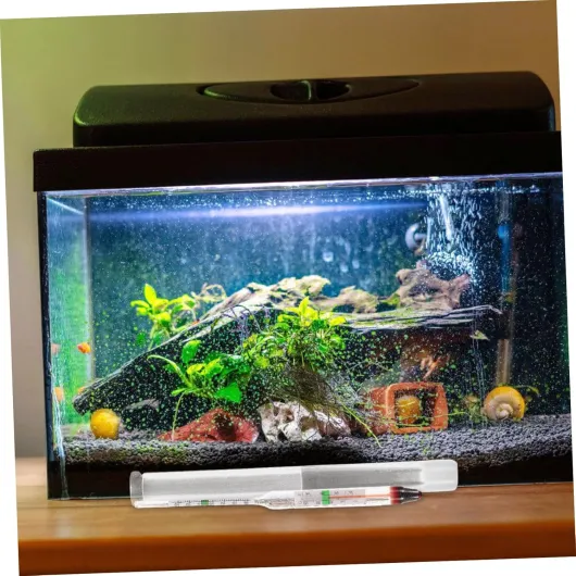 812nf4SIoiL._AC_SL1500_