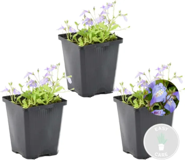 61J8u 3O9pL._AC_SL1200_