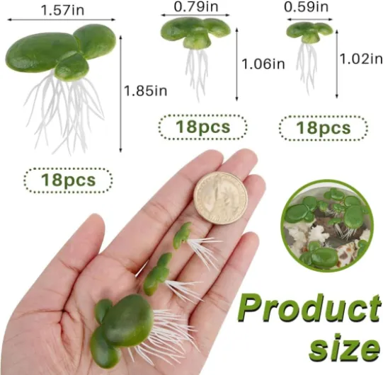 61acCXqNcbL._AC_SL1100_