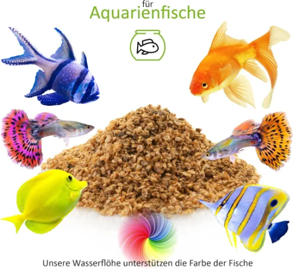 81fZd4TcCkL._AC_SL1500_