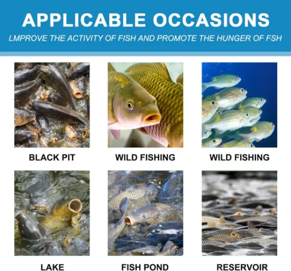 81Siz80 k5L._AC_SL1500_