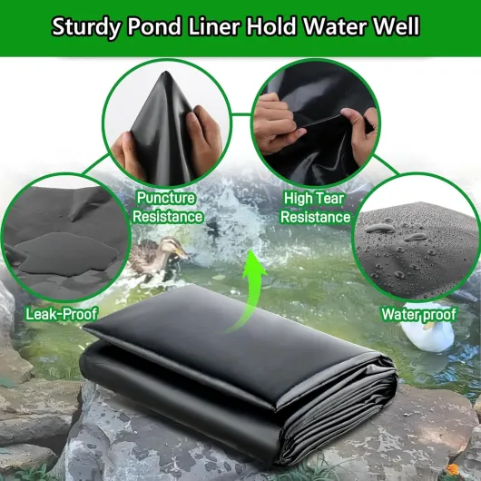 71mUZB6BlUL._AC_SL1500_