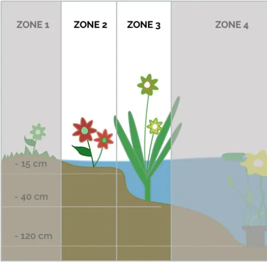 51xITZRsyFL._AC_SL1200_