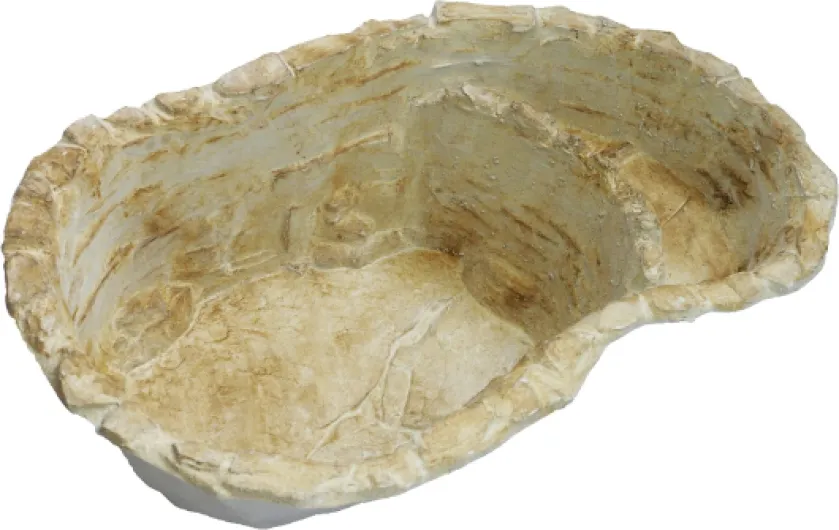 91HJa4bofpL._AC_SL1500_