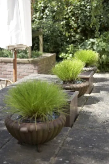 61 mPaJ8SiS._AC_SL1024_