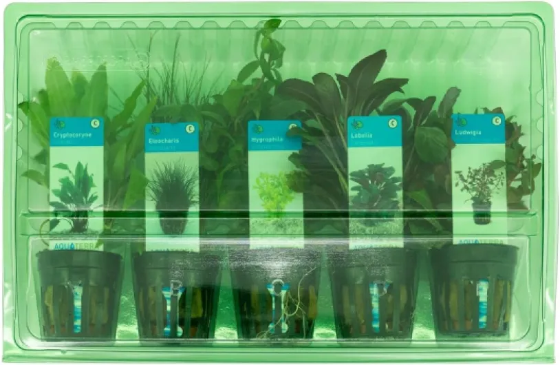 615tvjOHgUL._AC_SL1200_