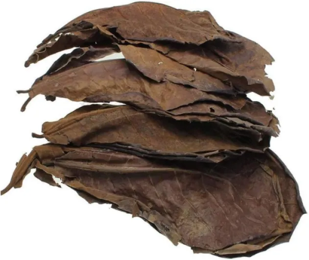 617qt5lTNEL._AC_SL1000_