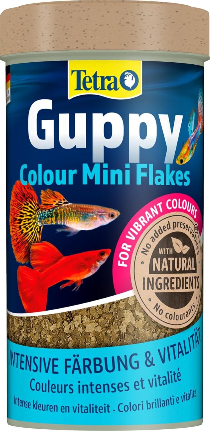 Guppy Color, Mini Flake Food pour Poissons Tropicaux, 250 ml, Multicolore, 75 g (Lot de 1) 148.3 g (Lot de 1) Tetra Guppy Colour
