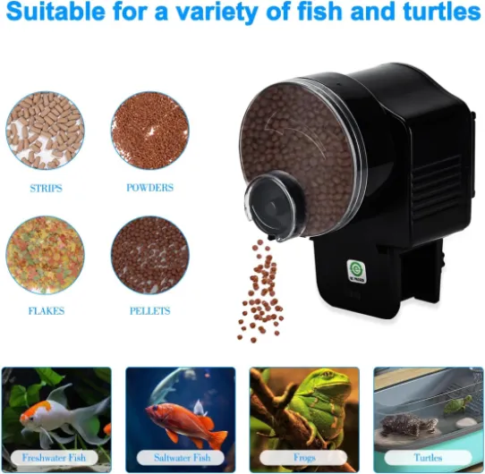 71tQWr-m7QL._AC_SL1500_