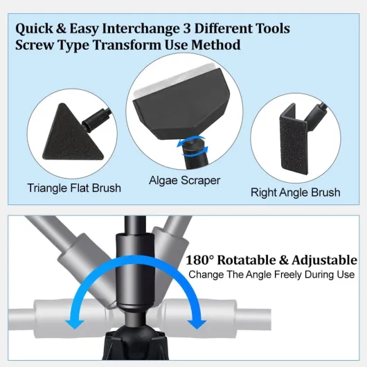 61WXYwLWVpL._AC_SL1000_