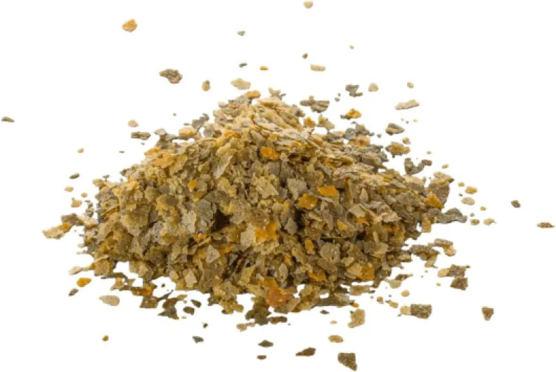 61PKTugkbPL._AC_SL1285_