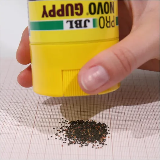 71cY JdbhYL._AC_SL1500_