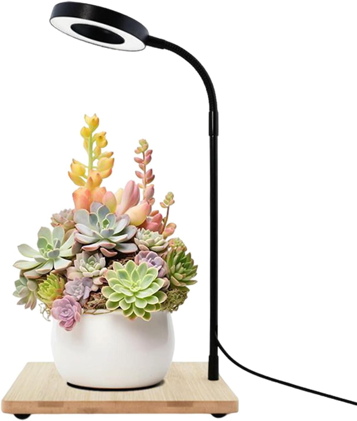 Lampe LED Culture Avec Base En Bois - Éclairage Spectre Complet 10W 6000K Pour Nano Aquarium, Terrarium Et Wabi-Kusa - Tête Rotative