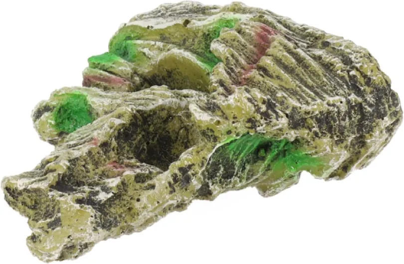 71NiQWPi4OL._AC_SL1500_