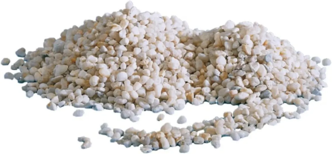 51xoY10sY5L._AC_SL1000_