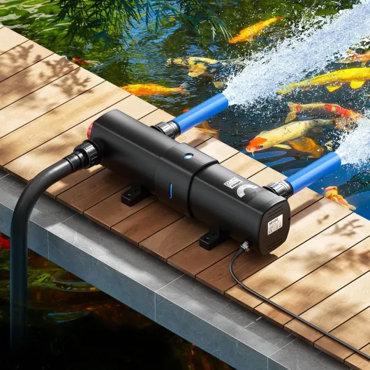 91Wwblnvt L._AC_SL1500_