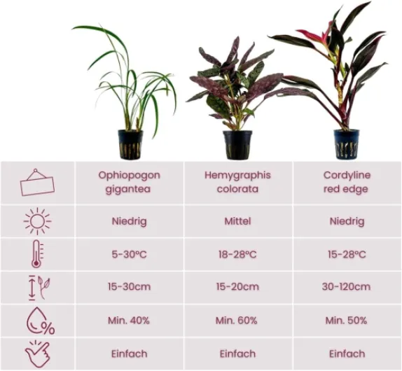 61mkYBIWtHL._AC_SL1080_