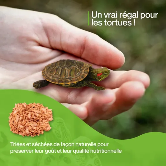 71OKP dEqFL._AC_SL1500_