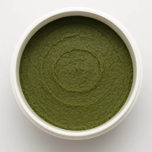 61PXMbMEzbL._AC_SL1024_