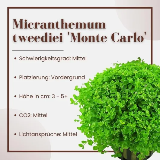 610RRdEIpSL._AC_SL1000_