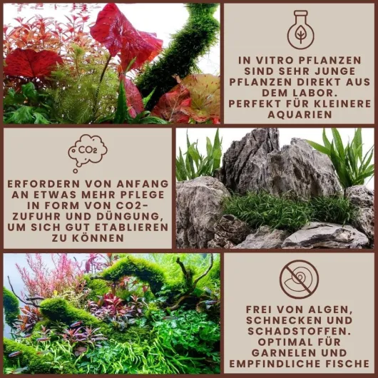 71DSAs9azTL._AC_SL1000_