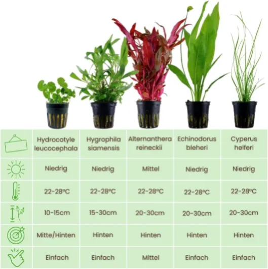 61uU35KcWUL._AC_SL1080_