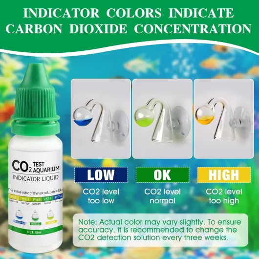 71gvN42gtXL._AC_SL1500_