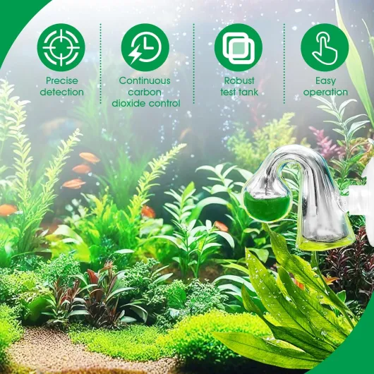 81syII3Vr3L._AC_SL1500_