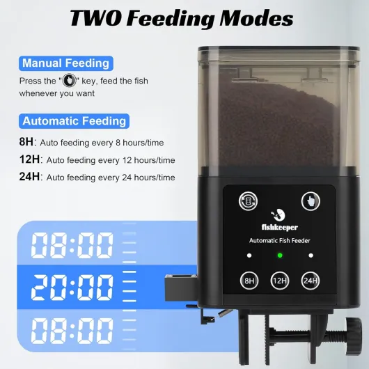 71-K4T 9oqL._AC_SL1500_