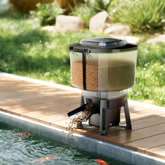 81GL3BGzwcL._AC_SL1500_