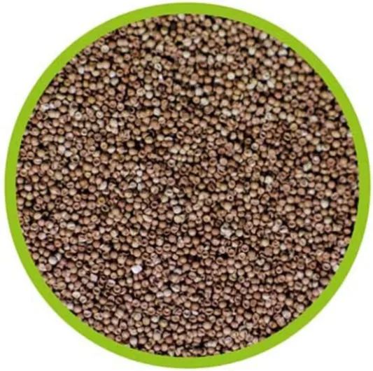 61dvur1ZiqL._AC_SL1000_