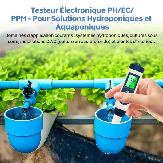 71BB FplbJL._SL1400_