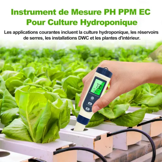 71hJ bfVpXL._SL1500_